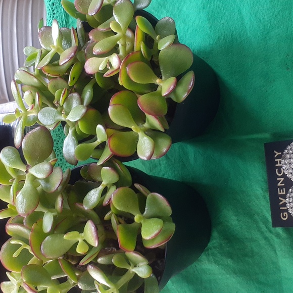 GIVENCHY EARRINGS - Picture 4 of 10